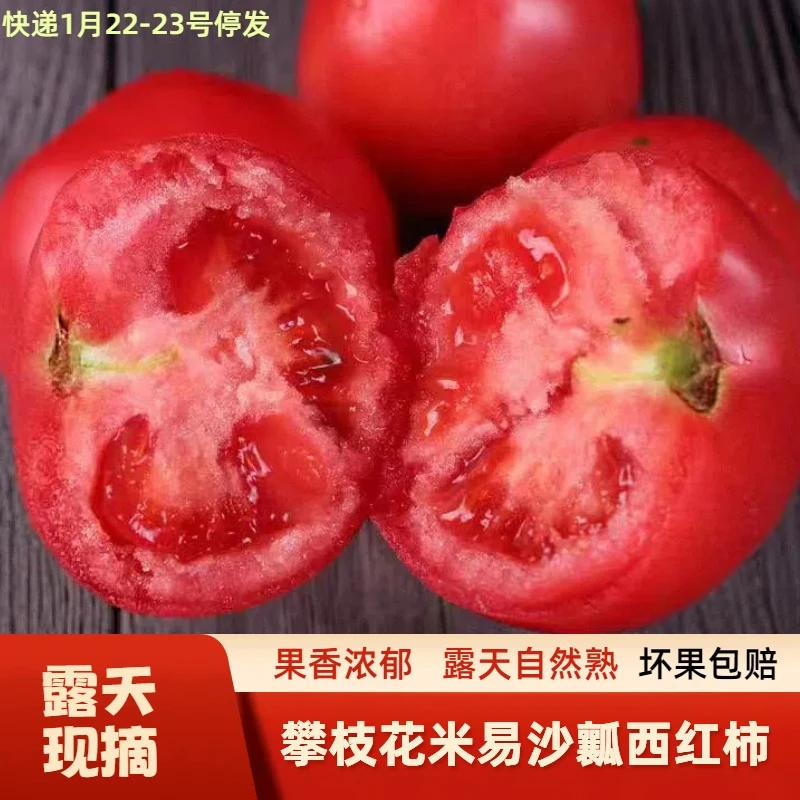 攀枝花沙瓤现摘西红柿露天自然熟生吃新鲜孕妇水果蔬菜番茄3斤
