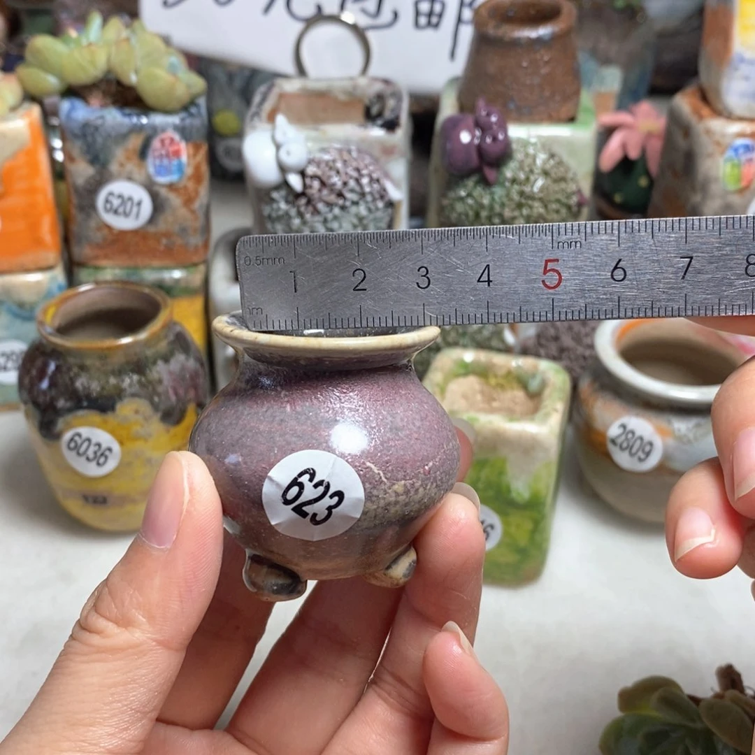 拍5送一个小礼物