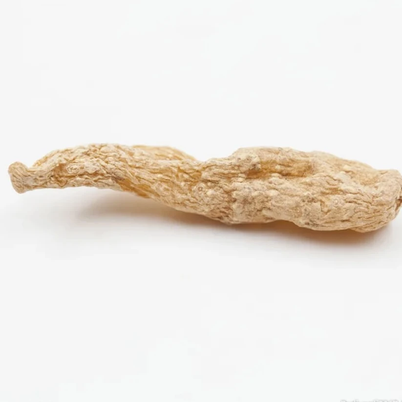 【山货】念念粉丝福利 川藏天麻 可搭配老年三宝炖鱼头汤