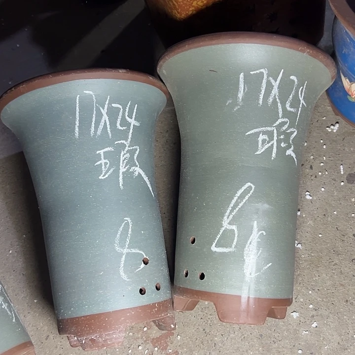 周深周深周深周深