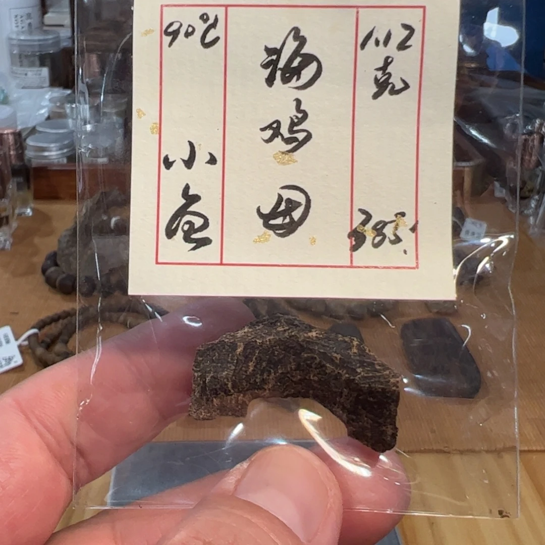 伍 250927 海鸡母 重约1.12