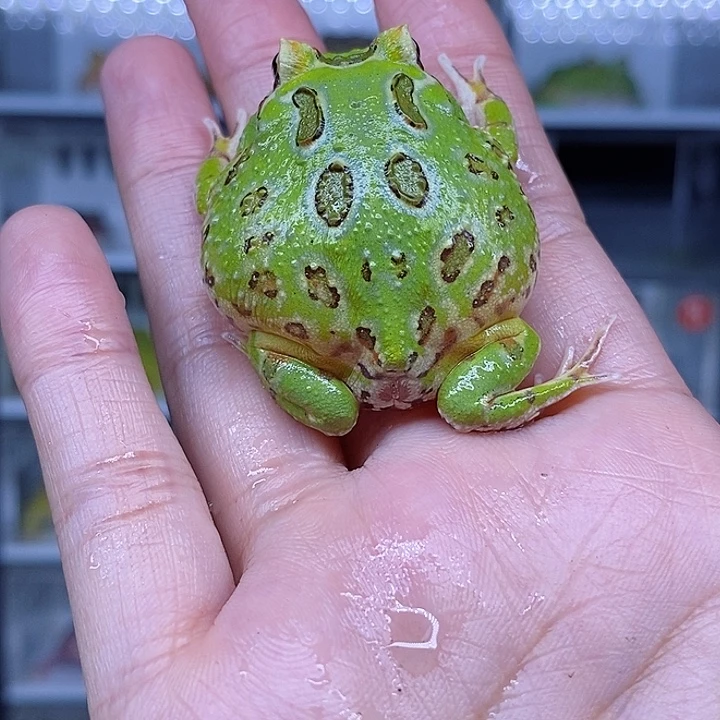 特价秒杀现货特价