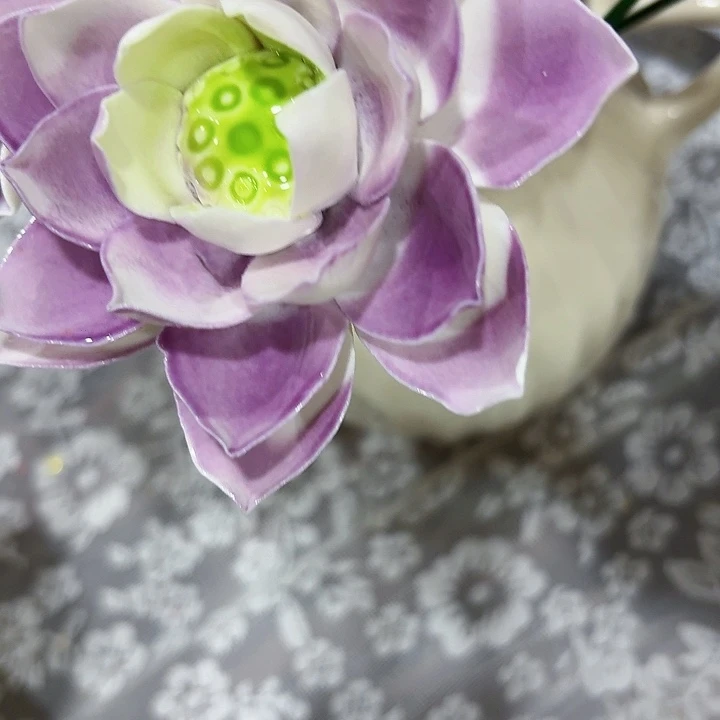 满20元发货新店开业