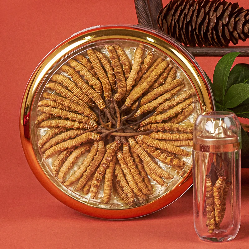 【60根虫草王礼盒】20克冬虫夏草60根足干草王礼盒装