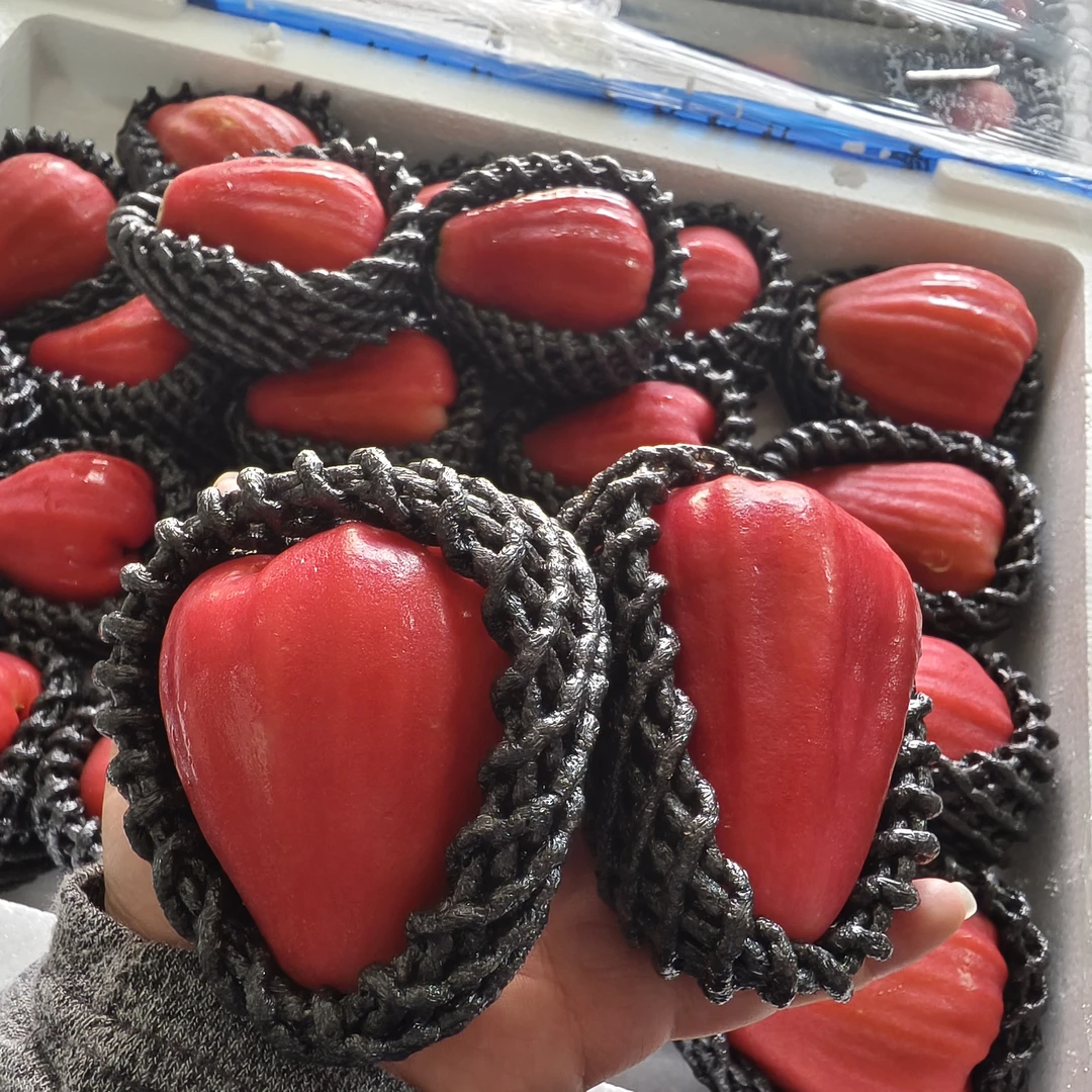 莲雾1份（5颗。）