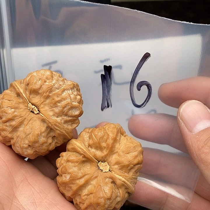 吊坠文玩核桃W638863863964694964964