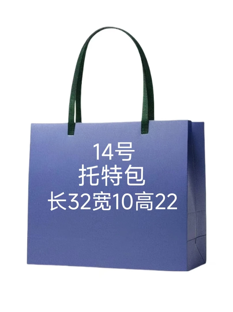 （14号）气质轻奢时尚百搭中托特K31  