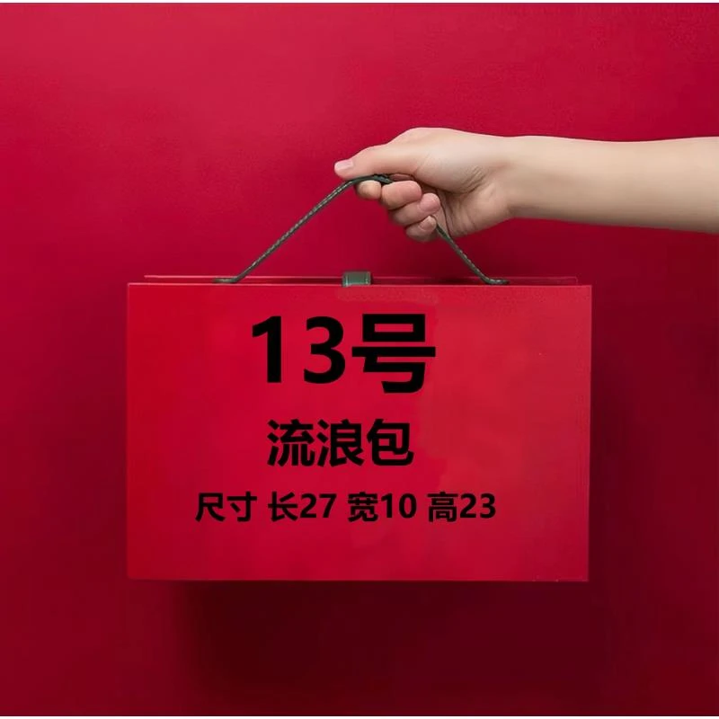 【13号】TT 2023新款轻奢流浪包78349-1