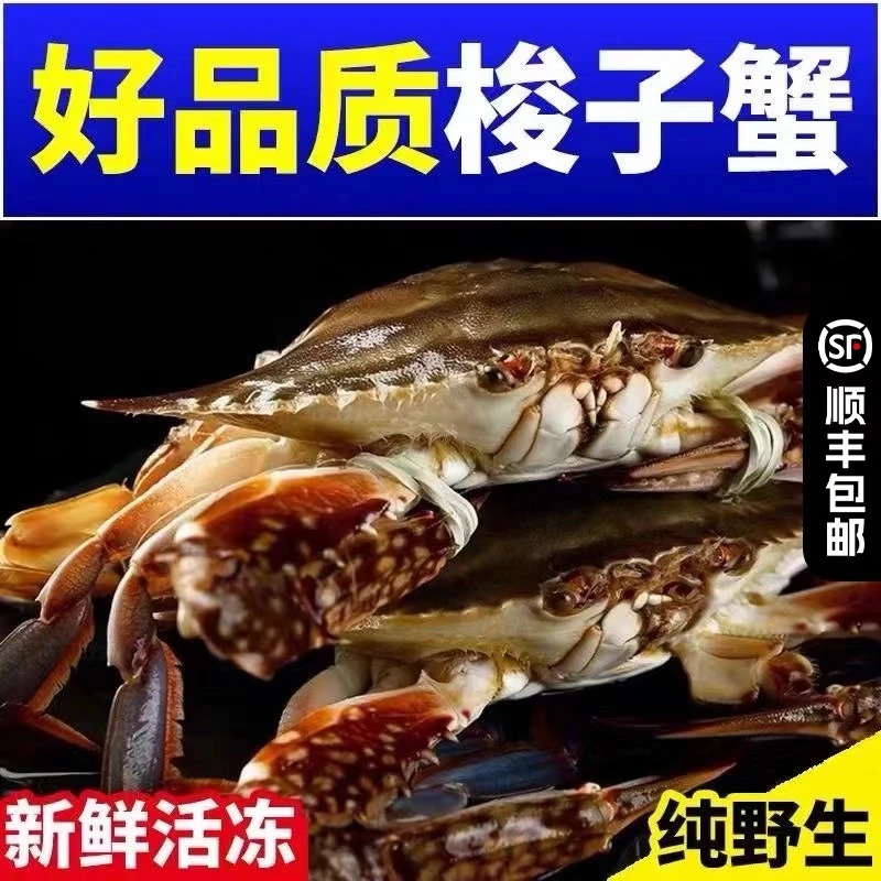 小周【冻蟹】野生海捕梭子蟹公蟹顺丰冷链发货2-4两一只净重3斤
