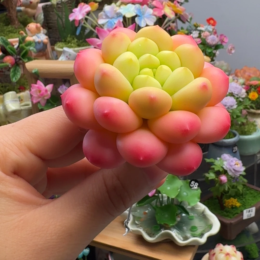 一物一拍默认微瑕不退不换