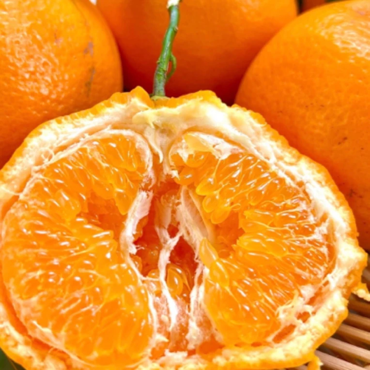 春见清甜爆汁四川粑粑柑10斤装