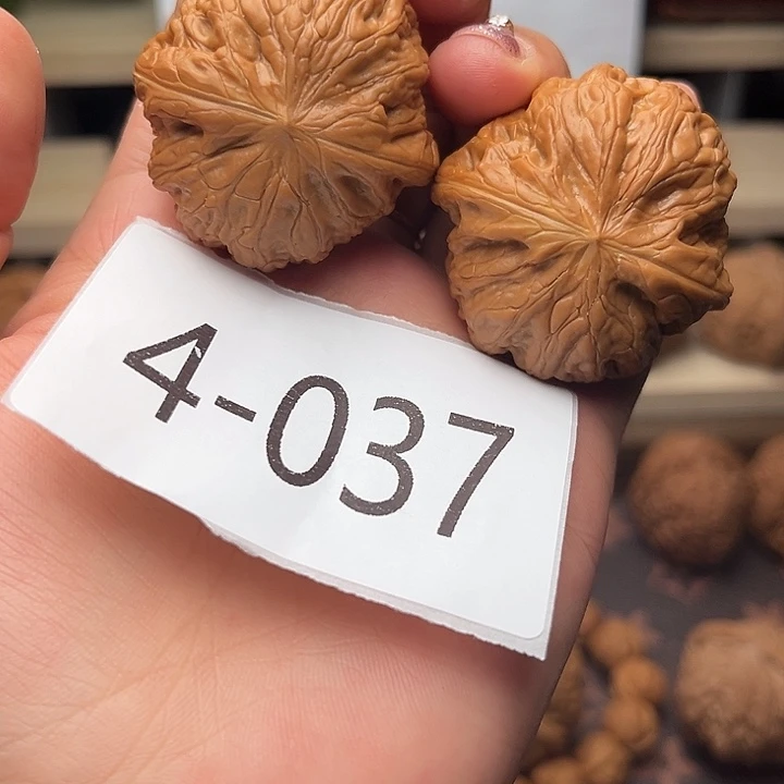 核桃39铁锤4037核桃