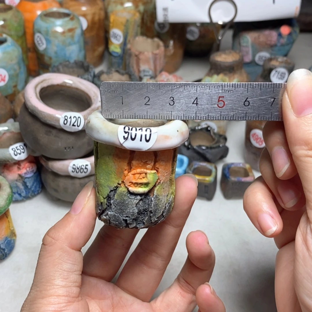 拍3送一个小礼物