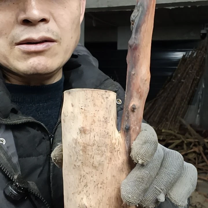 稳定木T*哥檬檬木半成品原材料