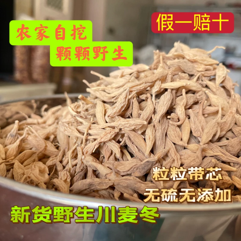 四川纯野生药材麦冬新货、自挖自卖自然生长周期2年川麦冬无硫