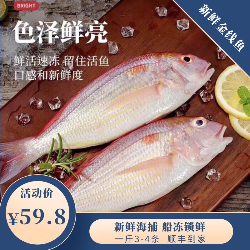 大号新鲜红杉鱼红三鱼金线鱼海捕速冻发货顺丰包邮一斤3-4条