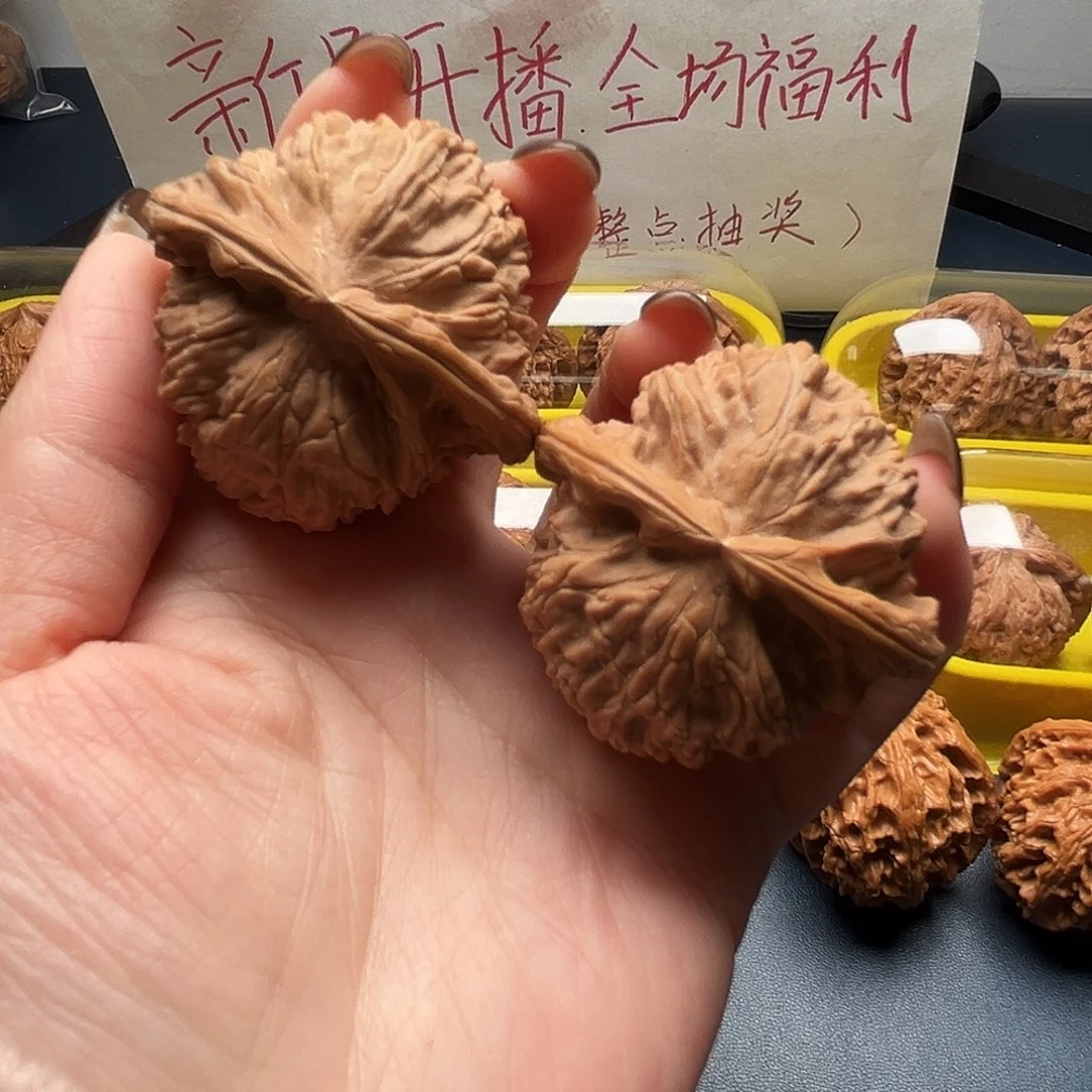 核桃45尺寸白狮子