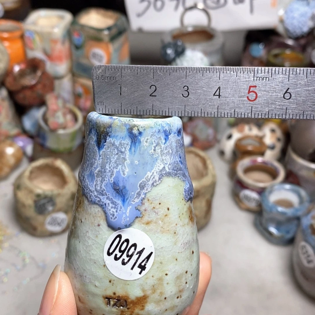 花盆拍5送一个小礼物