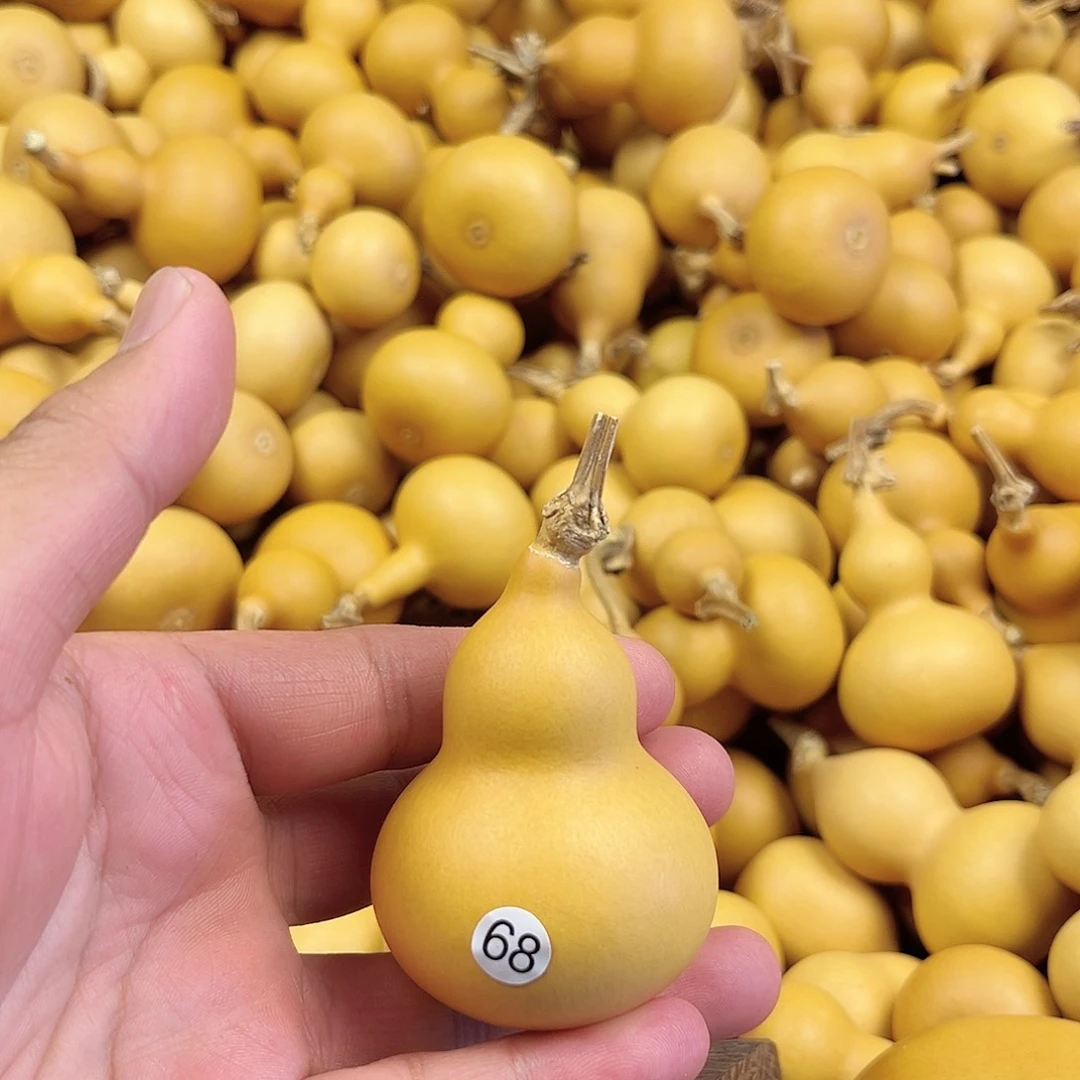 五葫芦葫芦葫芦葫芦葫芦68