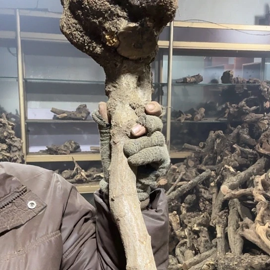 香榧木落**悔火琉璃的故事毛料啊摆件
