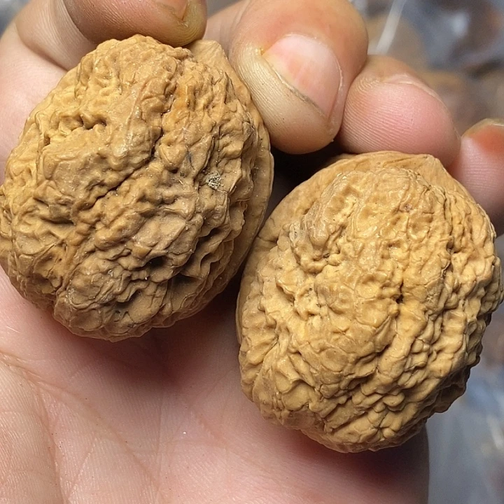 把件文玩核桃云南铁核桃60号39mm