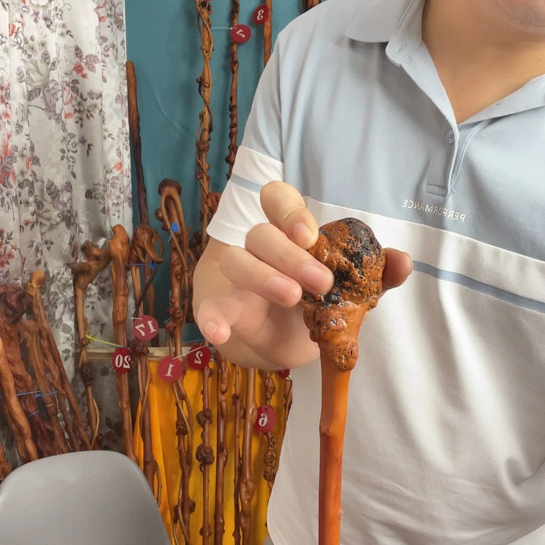 走***涯香榧木啊哦哦哦兔兔咯呕吐