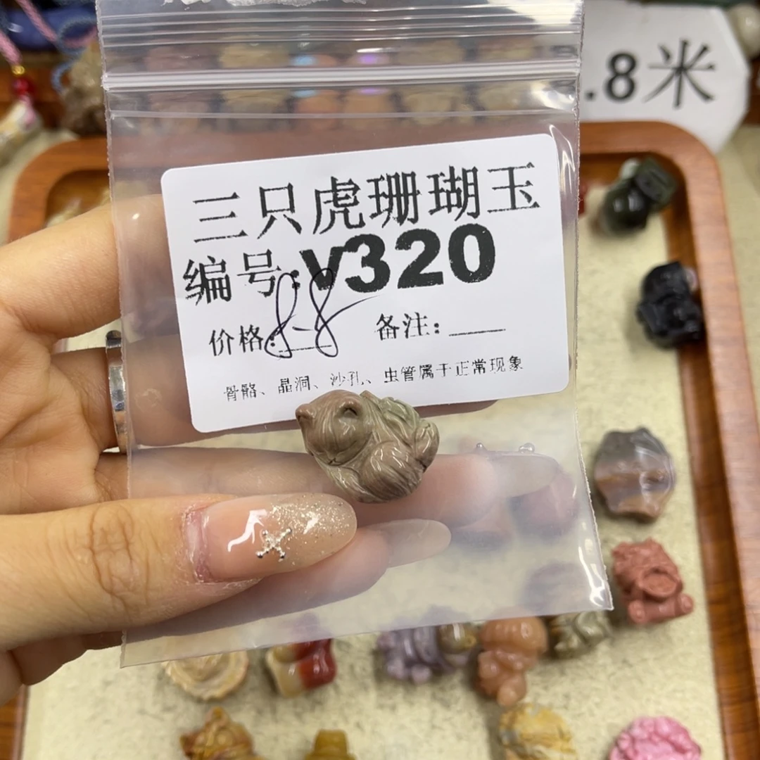 宝***咪硅化珊瑚（珊瑚玉）未镶嵌h