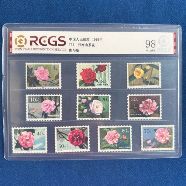 1979年 T37 云南山茶花 邮票