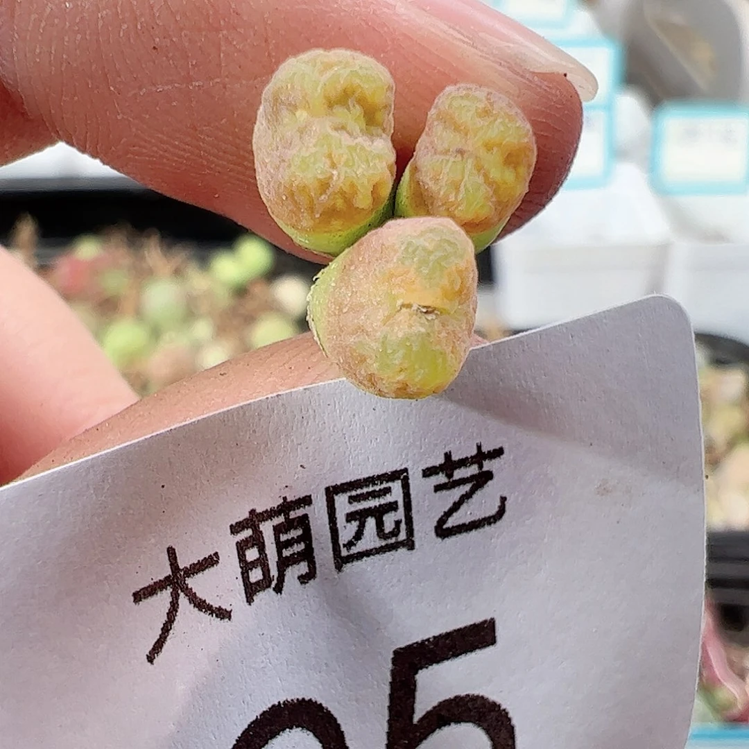 000095 一物一拍……