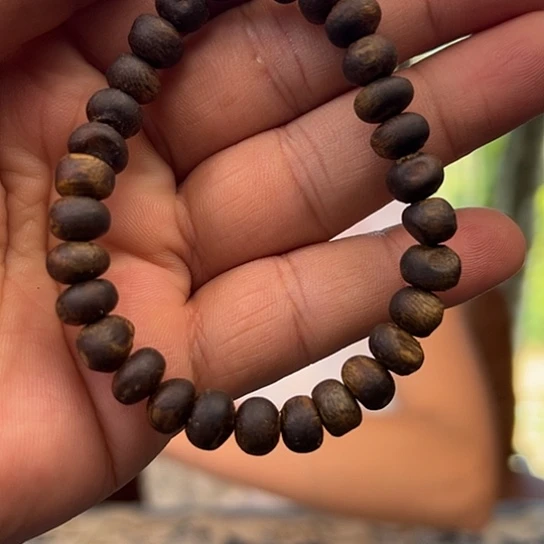 妞***儿手串沉香乌身虫漏0.8多样性发货1条