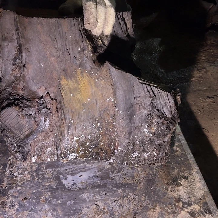 隐***园金丝楠金丝楠阴沉木