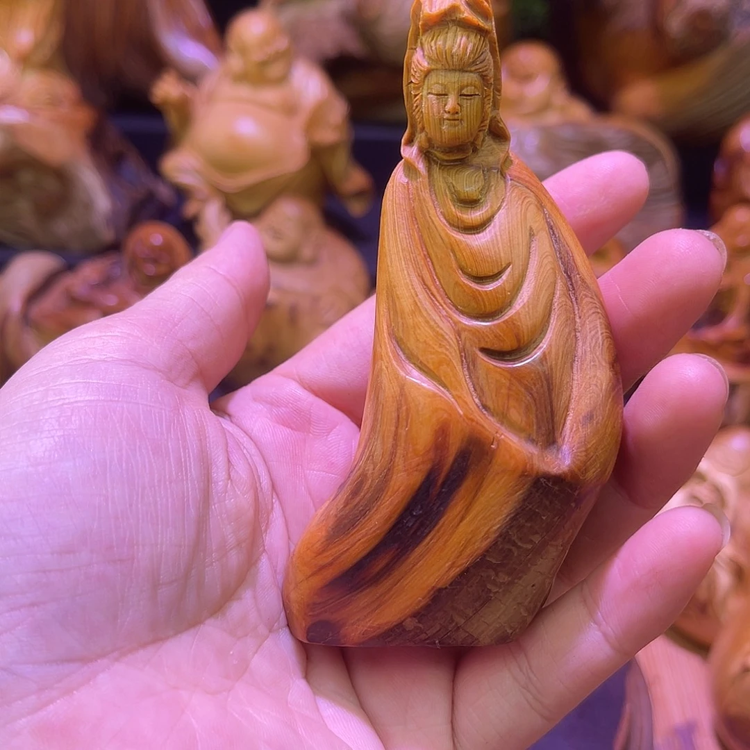 柏木88888888888888888