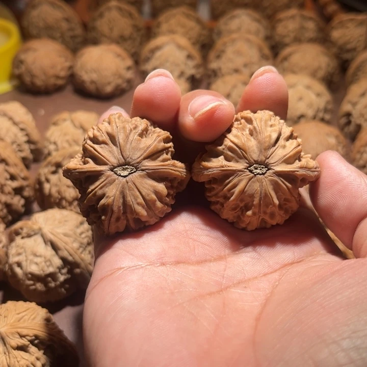 核桃手串/手链赵*头磨盘39+，39尺寸