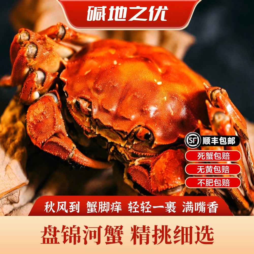 【活蟹】盘锦河蟹母蟹 单只1.3~1.5两 到手2斤