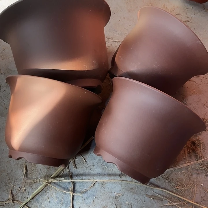 山***照一大三小特价