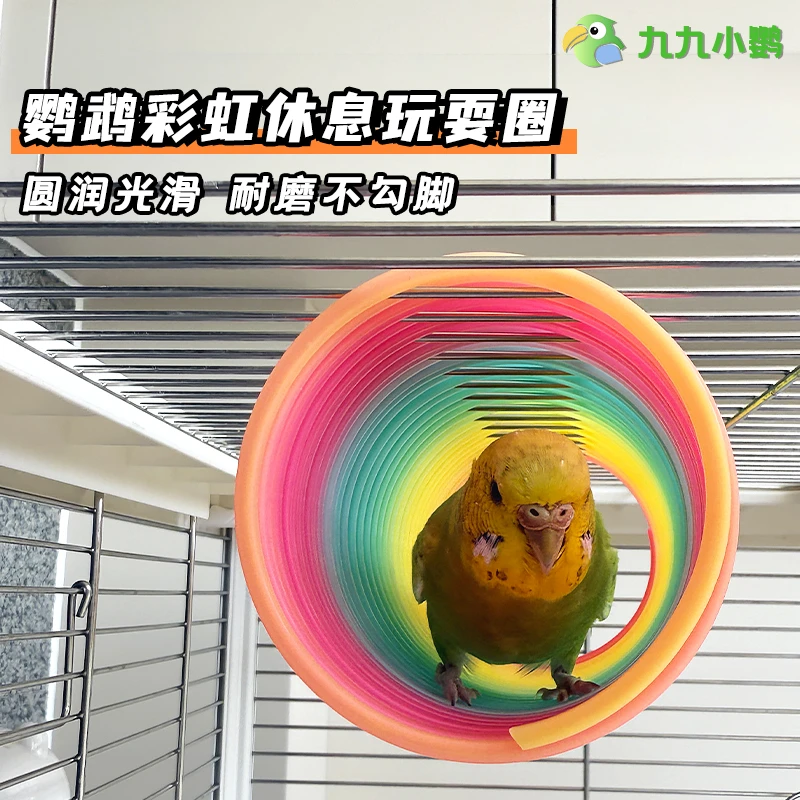 九九小鹦鹦鹉鸟玩具训练用品用具鹦鹉彩虹圈钻洞洞互动防咬玩具