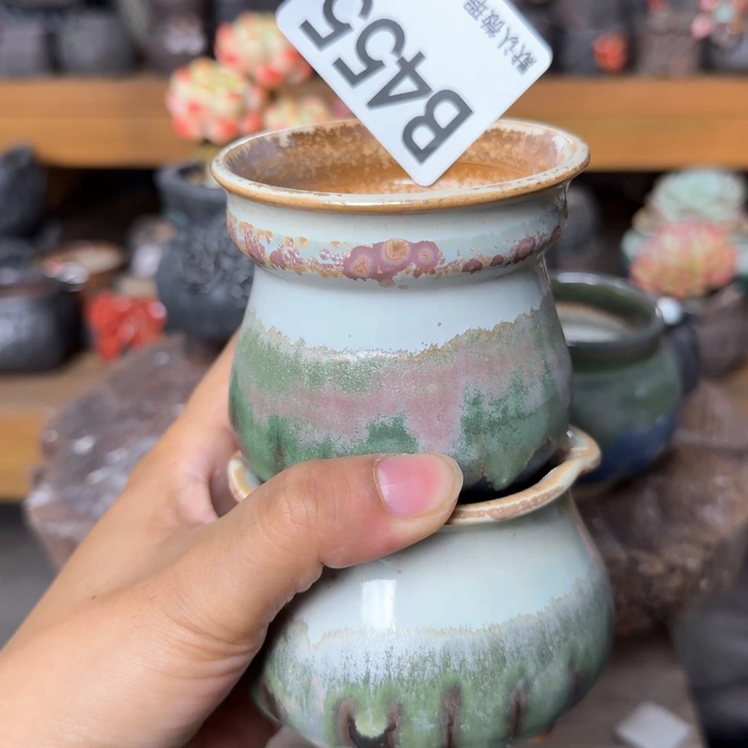 重庆小燕子欢迎大家455