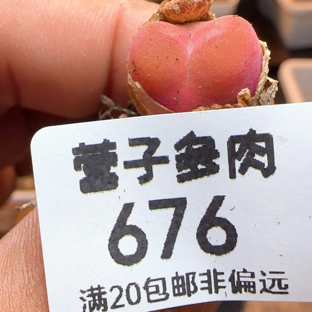 淼*水蜜桃。