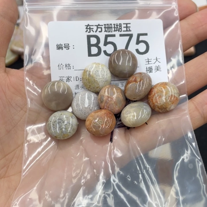 硅化珊瑚（珊瑚玉）颈饰合金