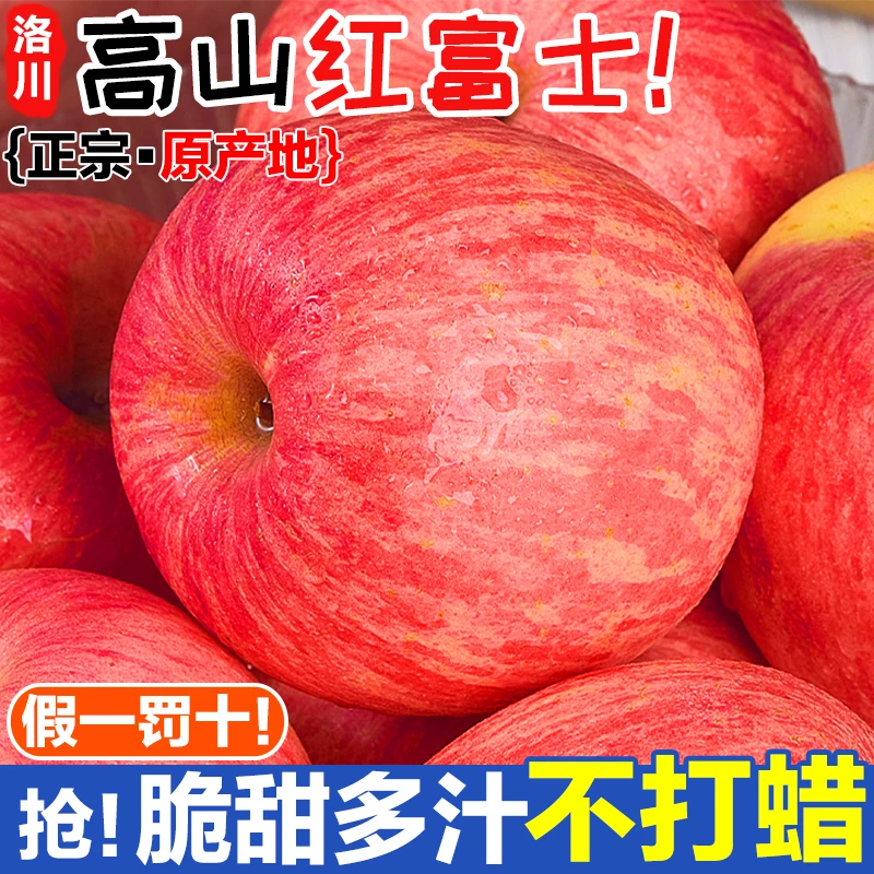 陕西洛川红富士苹果脆甜多汁皮薄爽口14