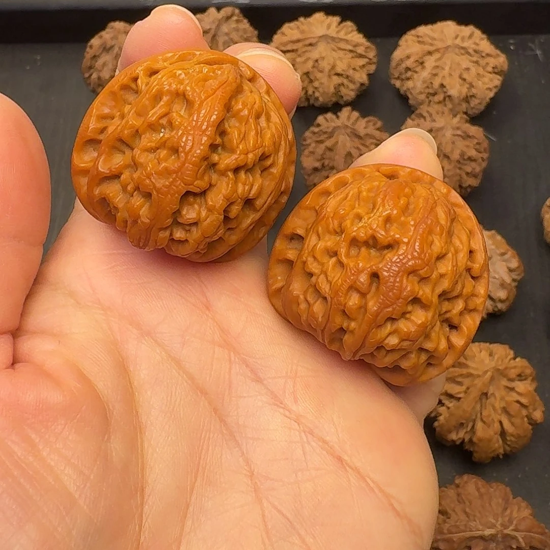 核桃突突突突我来拉踩