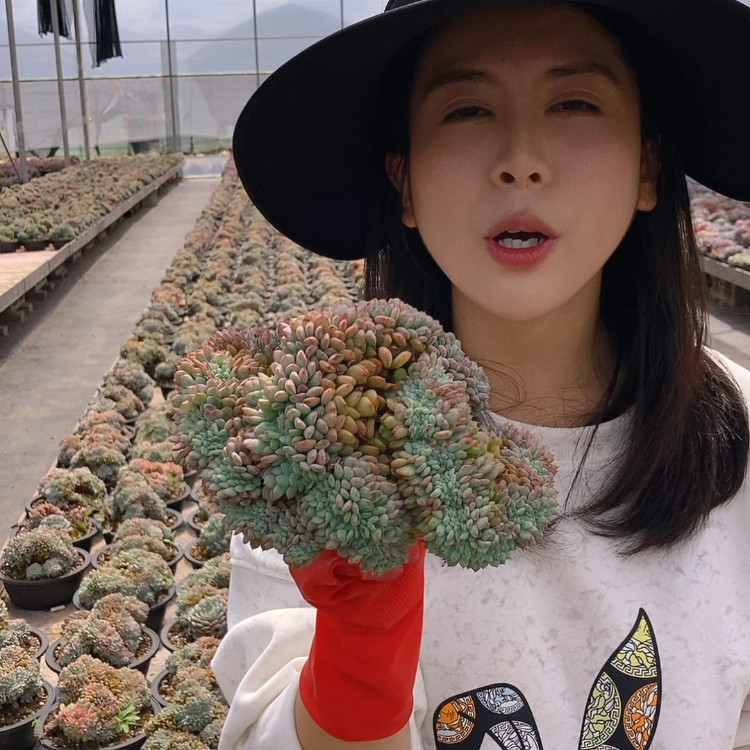 白胖子缀随机挑大的