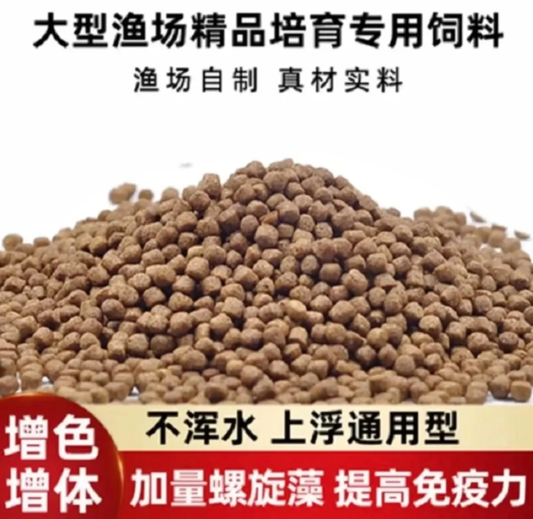 观赏鱼泰狮 蓝寿 专用饲料高蛋白上浮型鱼粮增色