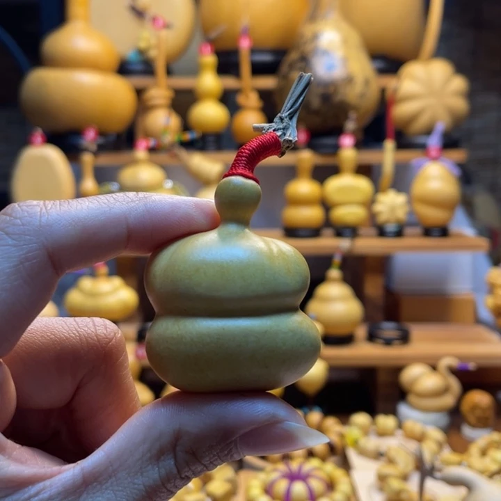 炫***舞天然葫芦自然生长