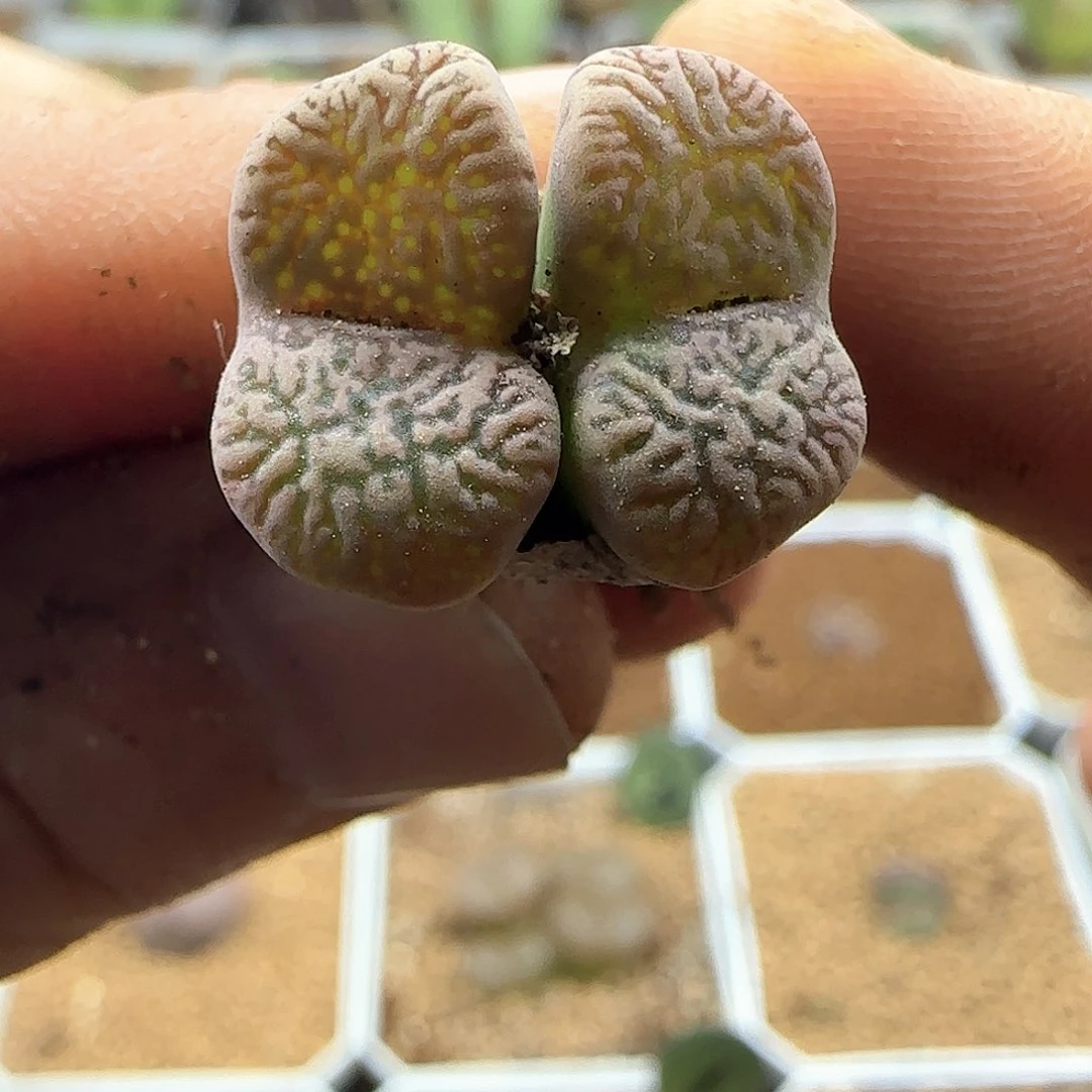 又***開哈哈哈哈哈哈哈哈哈哈43143