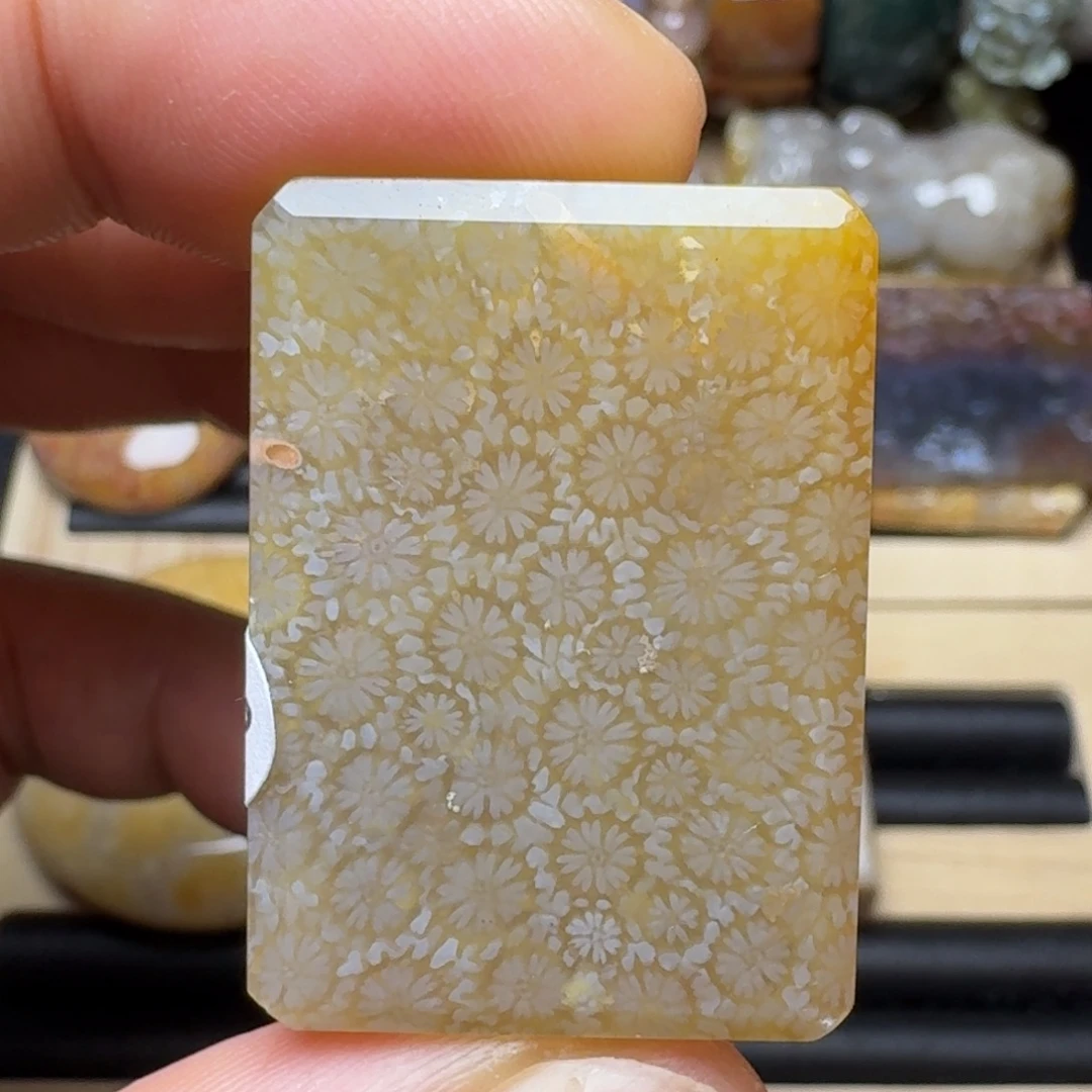 硅化玉未镶嵌纯天然色有机玉石保真色特价