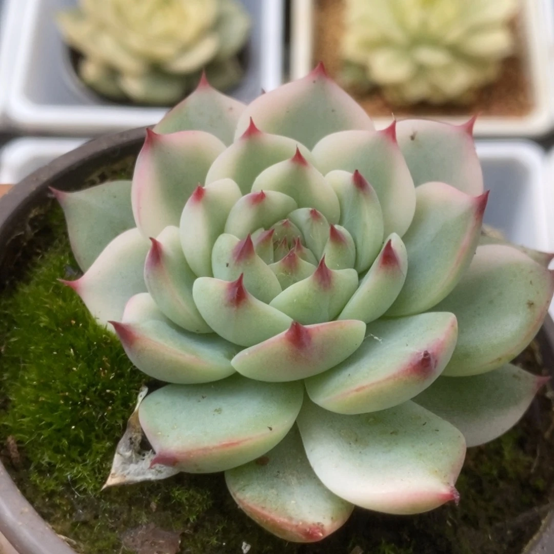 349锦锦锦锦锦锦锦锦