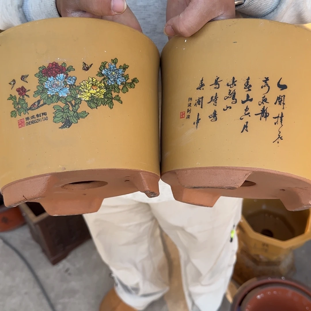 花盆紫砂紫砂花是最