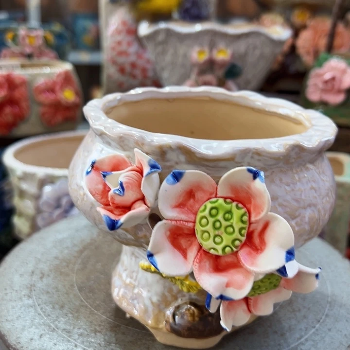 多肉花盆拍满18.8包邮