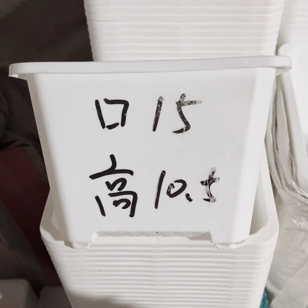 塑料福利款15方白色盆10个无托